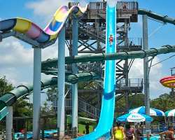 The great white is also one of the popular rides among the visitors. If you are brave enough then you must take a ride at Screamin Demon.